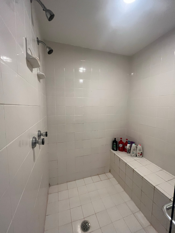 Large walk-in shower
