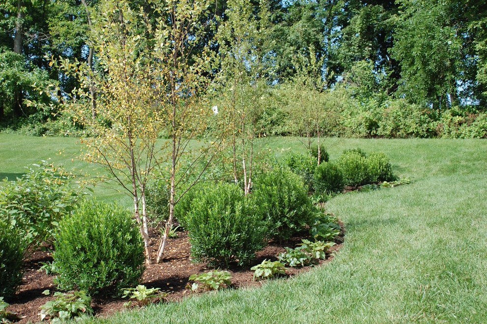Design ideas for a transitional full sun hillside landscaping in DC Metro.