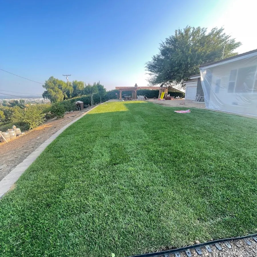 Sod & Irrigation Installation