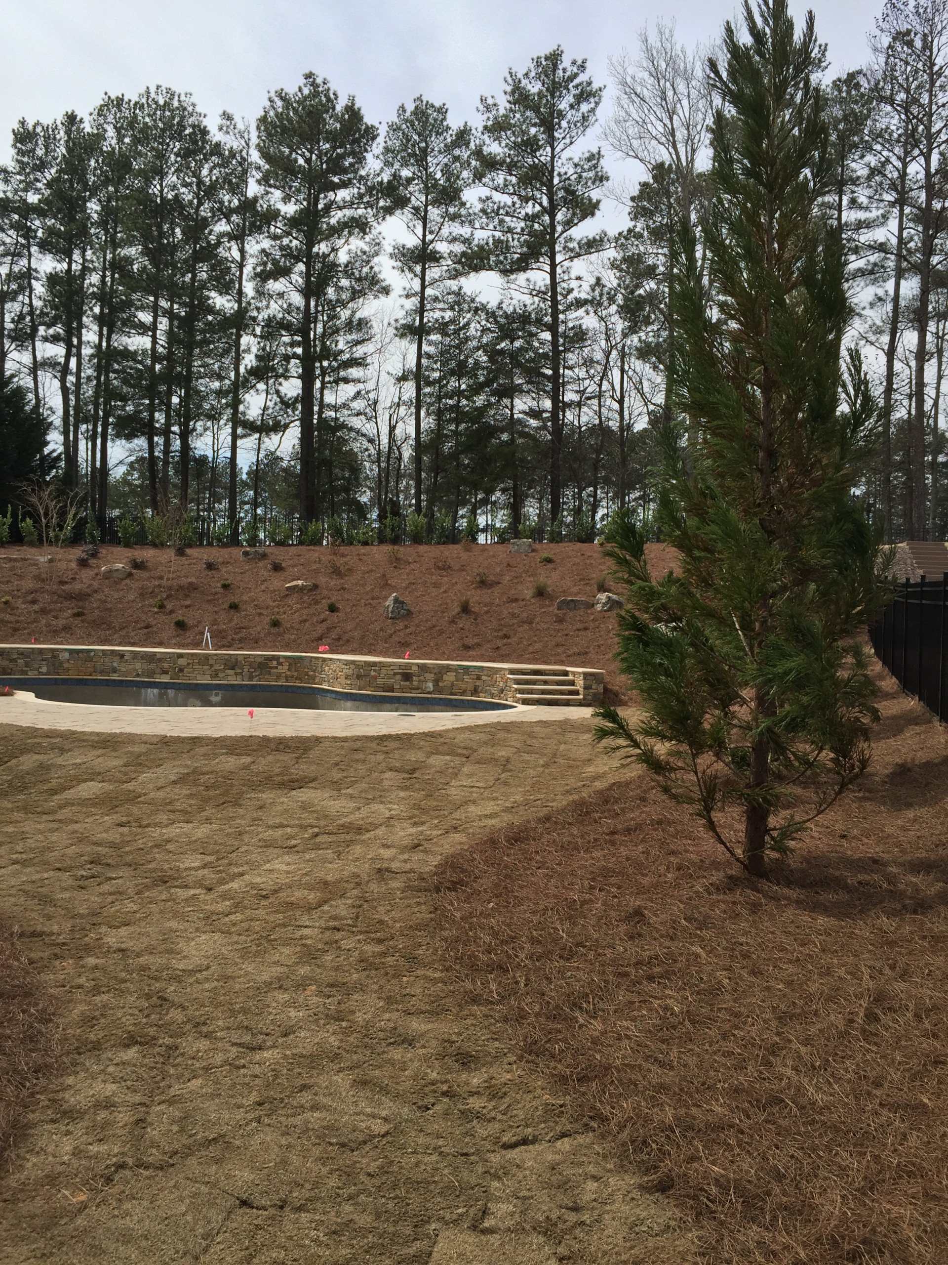 Alpharetta Yard Enhancements