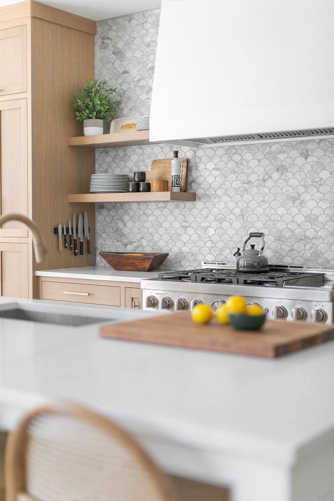 Inspiration for a transitional home design remodel in Chicago