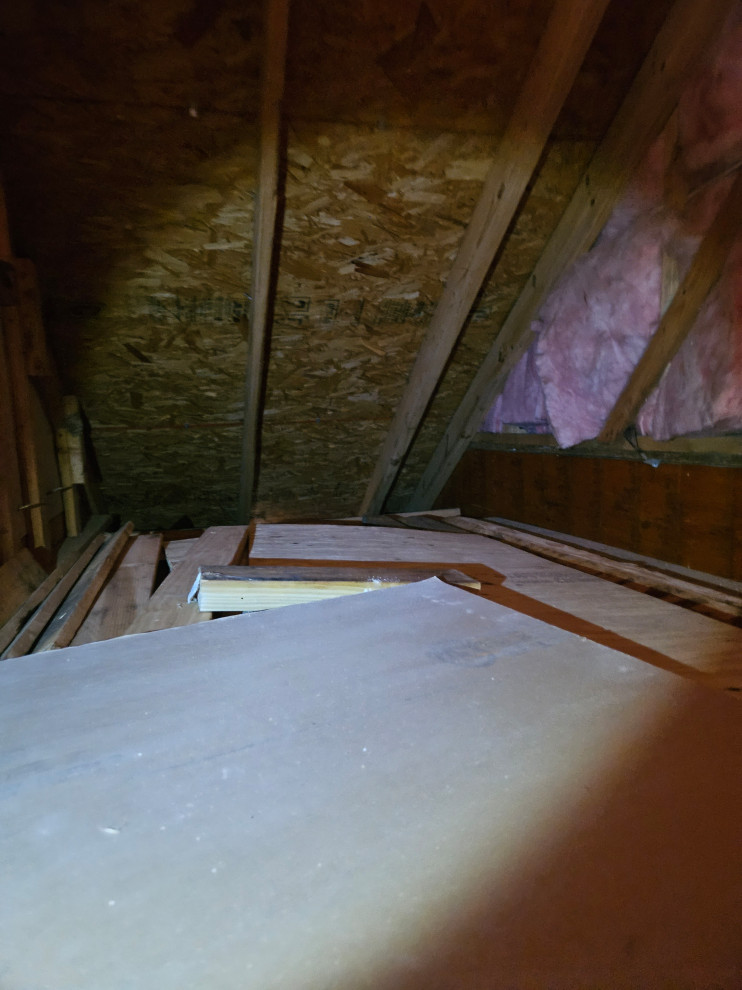 Attic Remodel