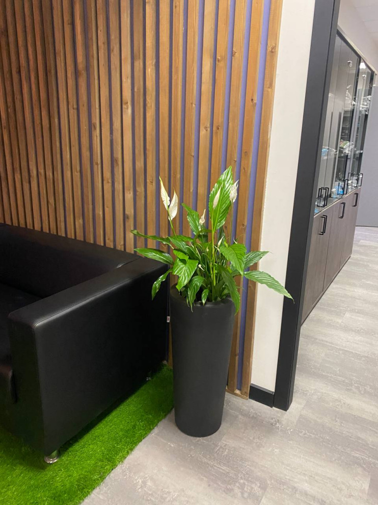 Офис Файн Юнион г. Санкт-Петербург