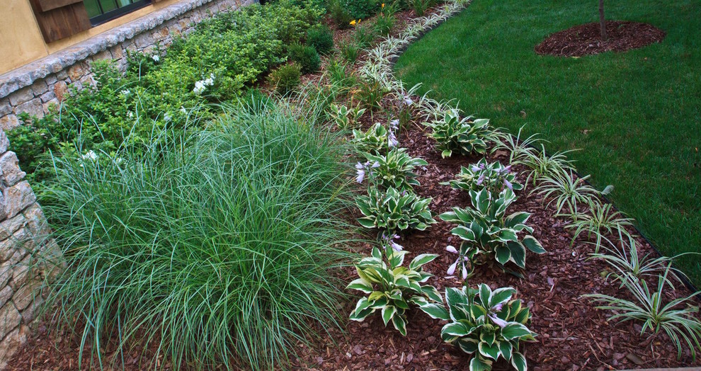This is an example of a mid-sized traditional front yard full sun formal garden in Other with mulch.