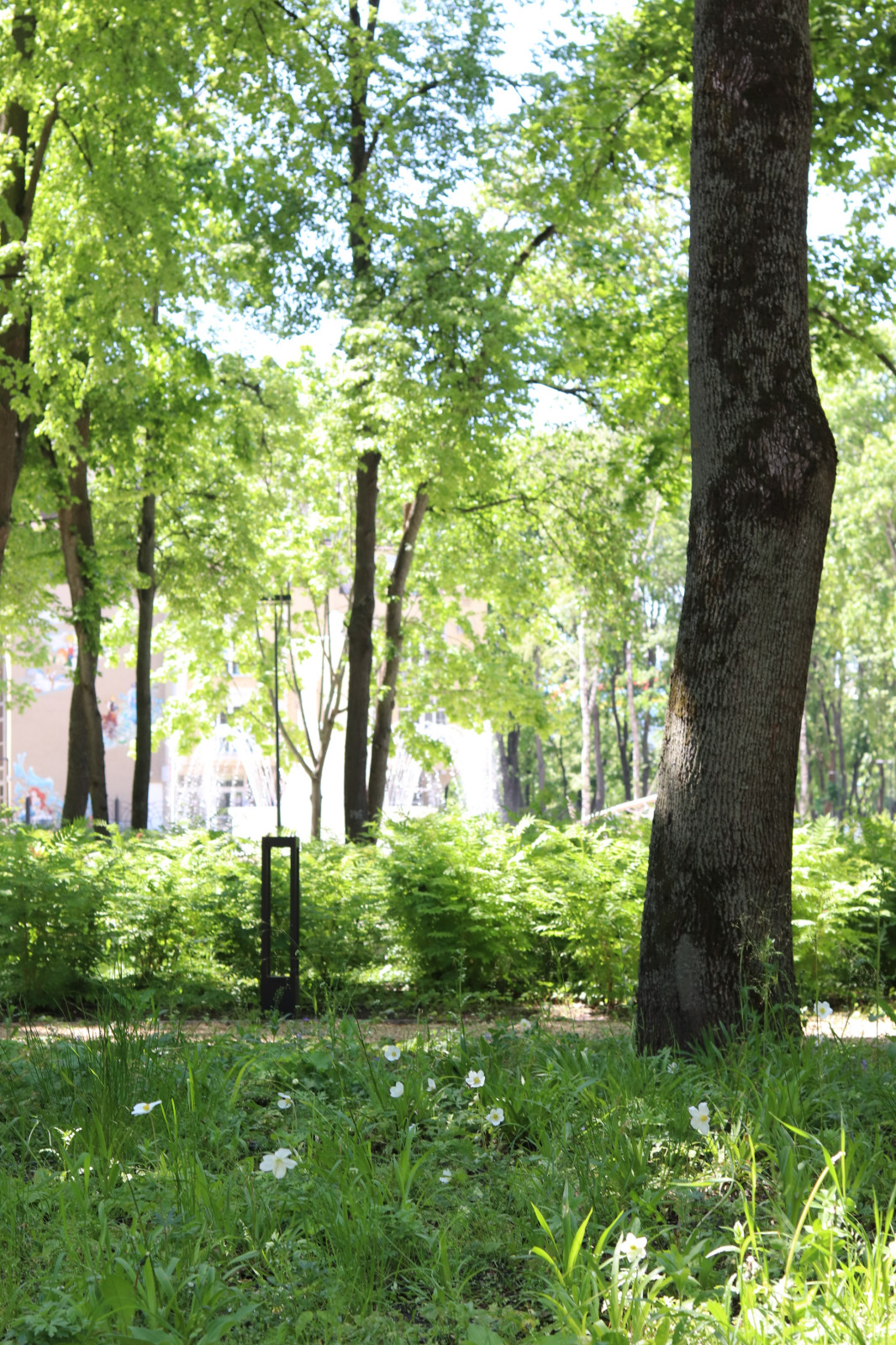 Парк Орленок