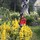 Nolte Home & Garden