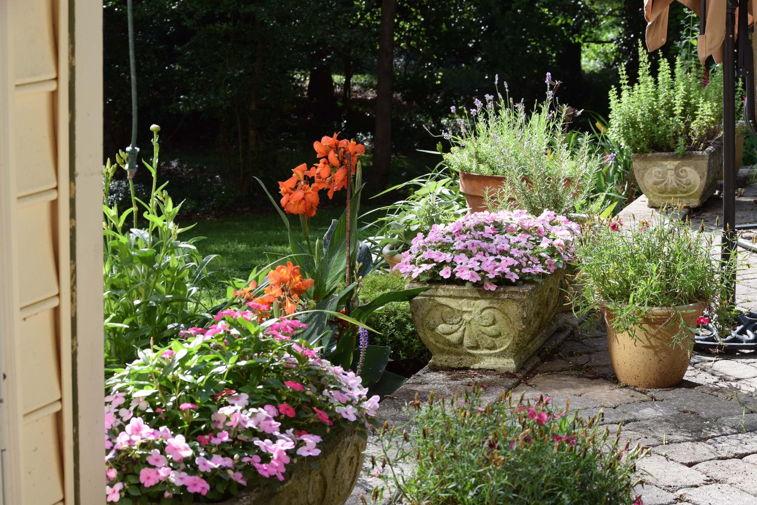 Back yard makeover