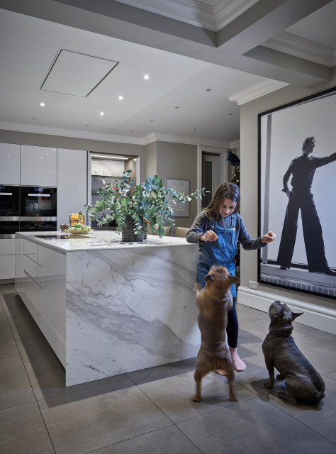Strike a Pose - SieMatic Kitchen contemporary-kitchen