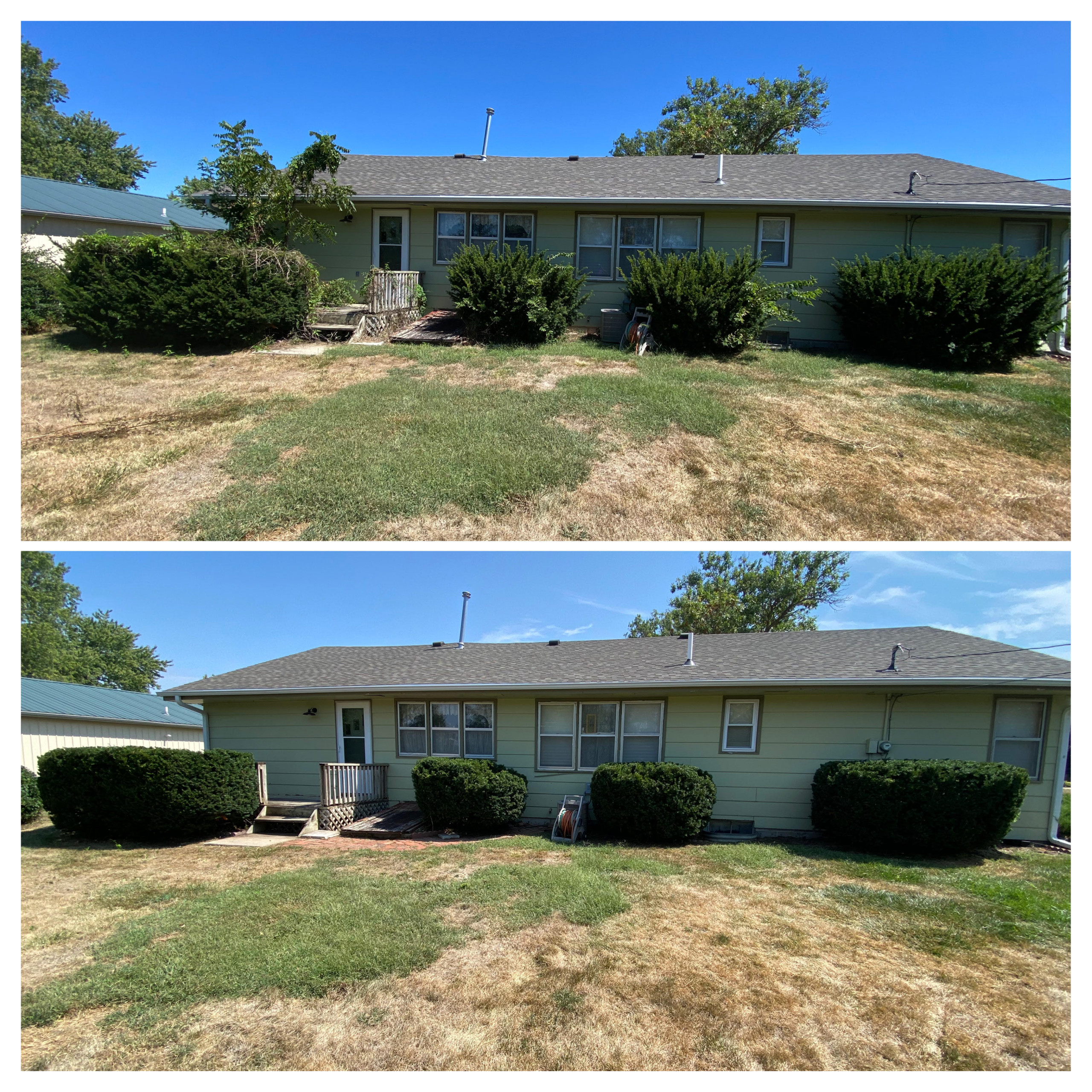 Trimming & Cleanup
