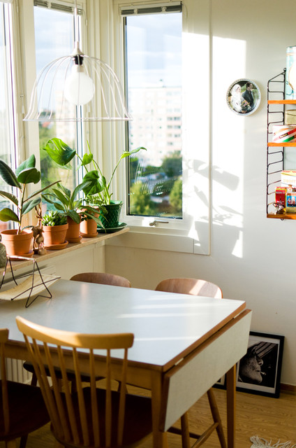 Eklektisk Matplats midcentury-dining-room