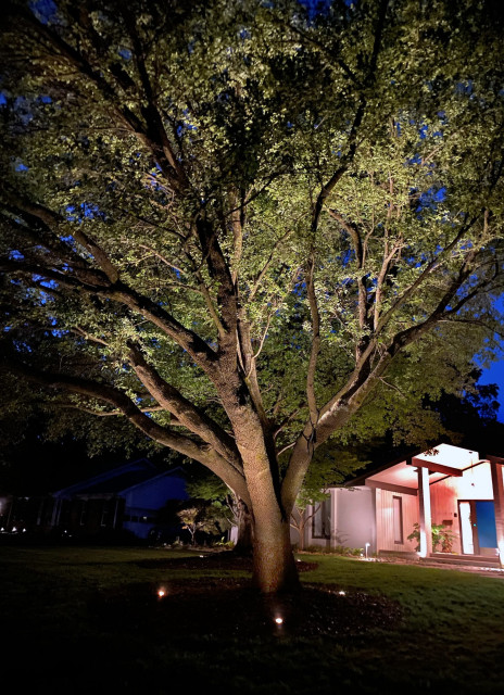 landscape lighting mid-century-garten