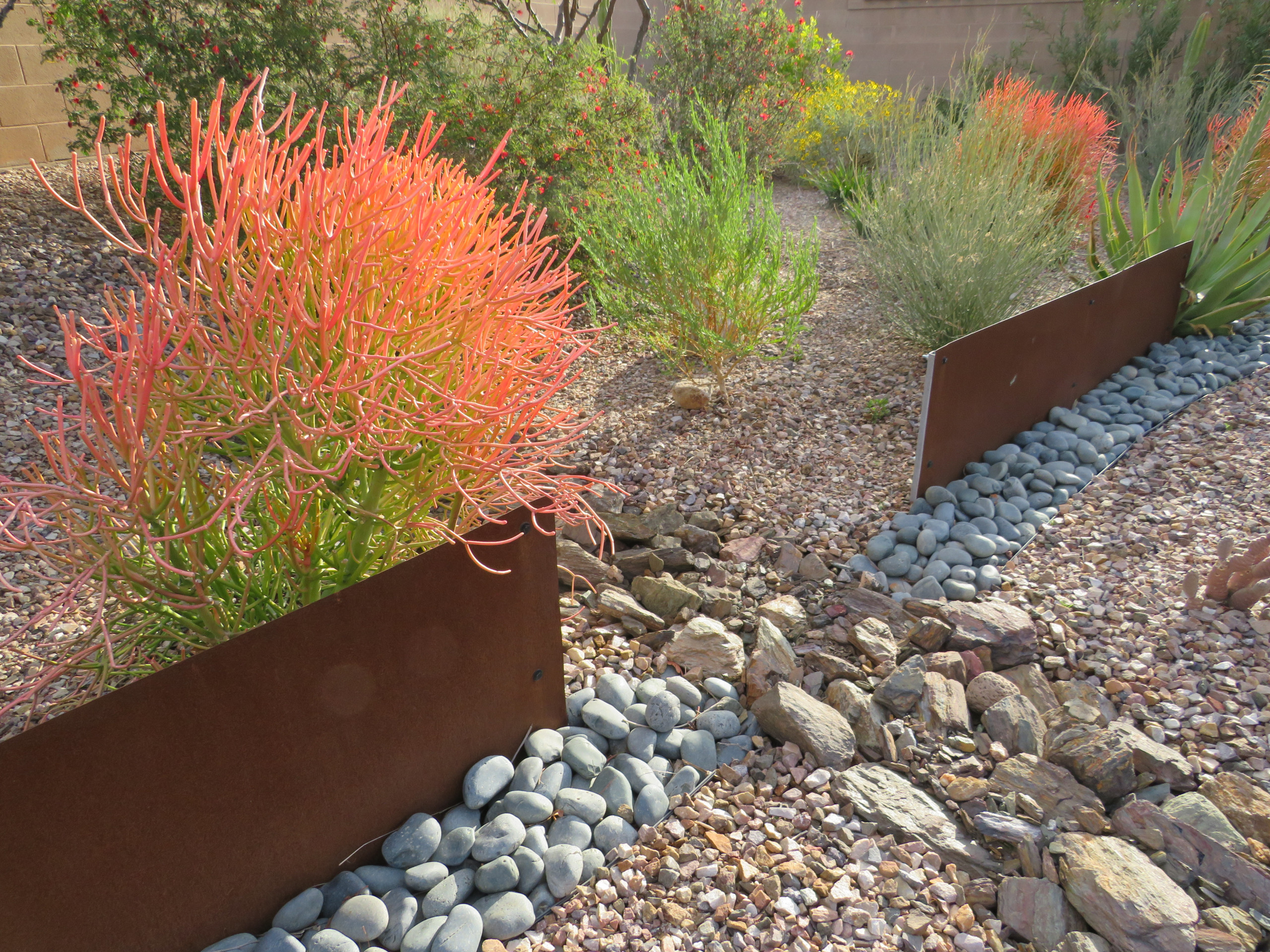 Modern Backyard Landscape - Mesa, AZ