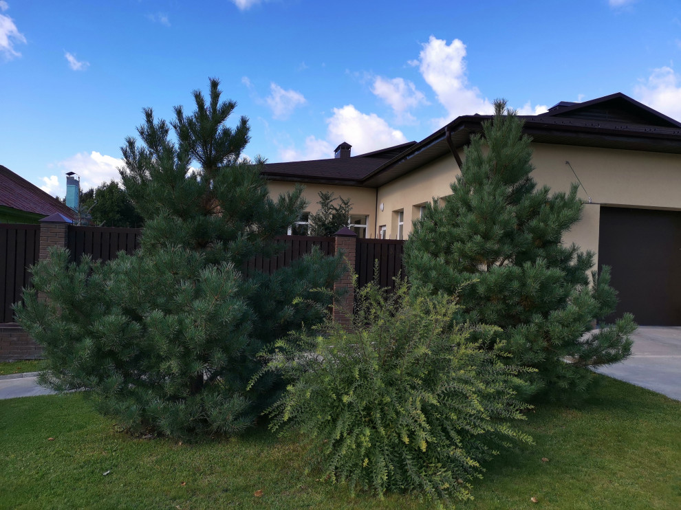 Нагорный - минималистичный сад