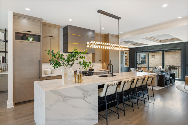 End Unit - Modern Luxury Rowhome | Heritage Place Naperville, IL contemporary-kitchen