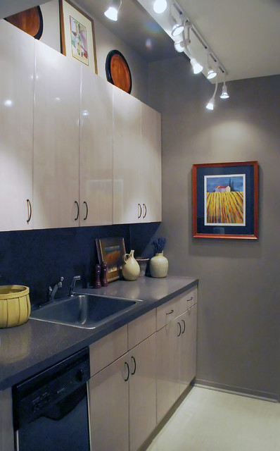 small kitchen contemporary-kitchen