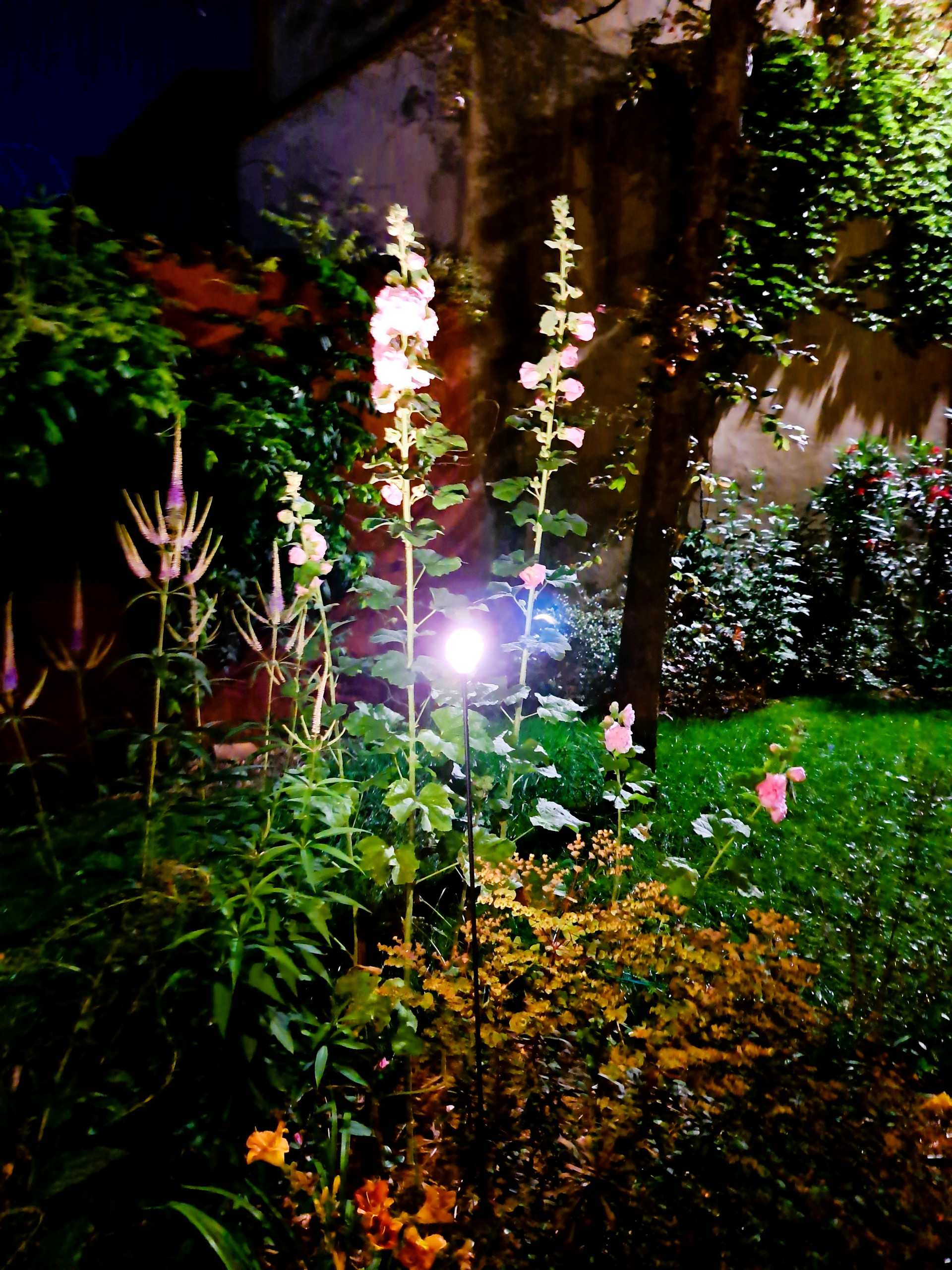 Giardino privato P.S.