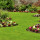 Wd Giampa Lawns & Landscape, Inc.