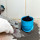 Olympic Mountain City Water Damage Experts
