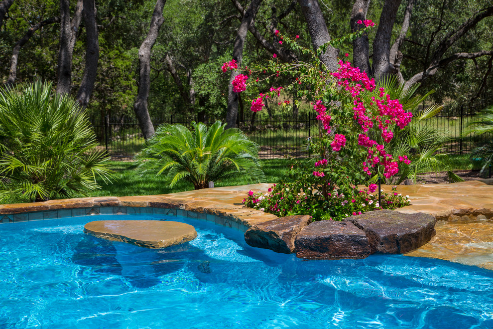 Design ideas for a tropical natural pool in Austin.