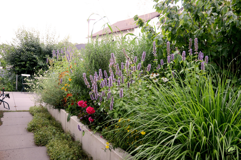 Geometrischer, Mittelgroßer Moderner Vorgarten im Sommer mit Blumenbeet, direkter Sonneneinstrahlung und Betonboden in Frankfurt am Main
