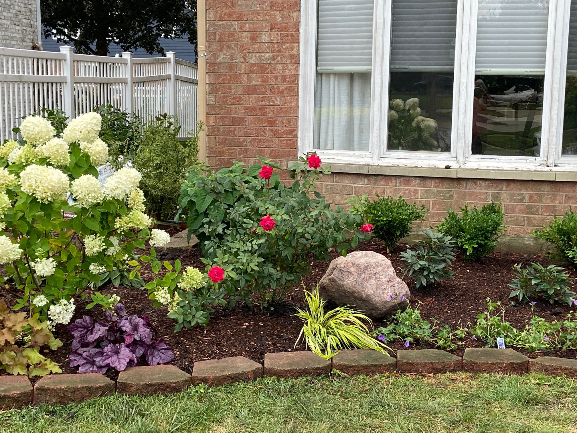 Front yard facelift