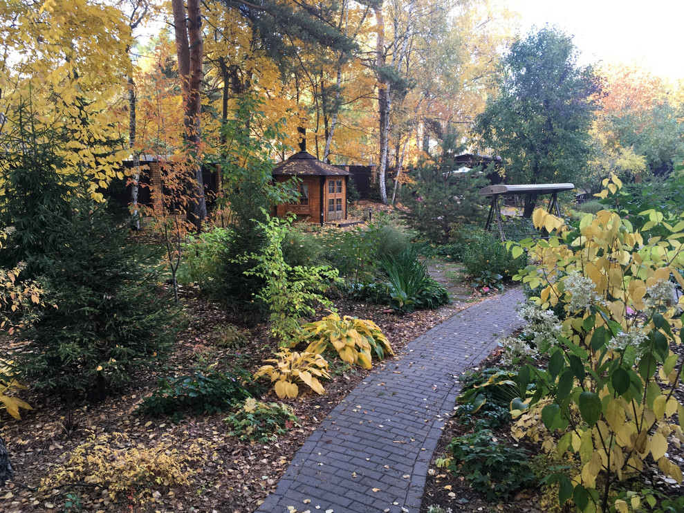 Белкин сад. Осень 2019