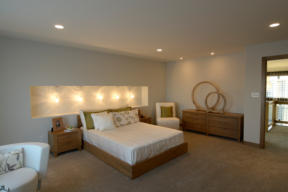 This is an example of a large contemporary master bedroom in Other with carpet.