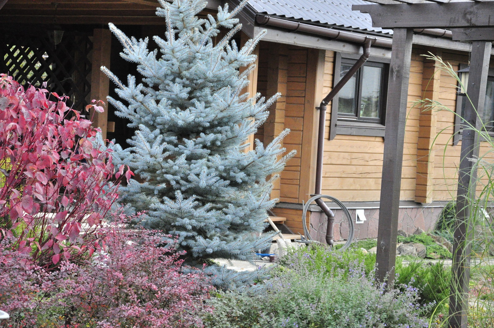 д. Коровино - Уход за садом - 100% качество