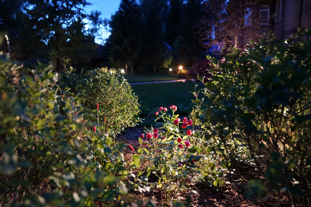 Круговорот  цвета. Дубровка 2021