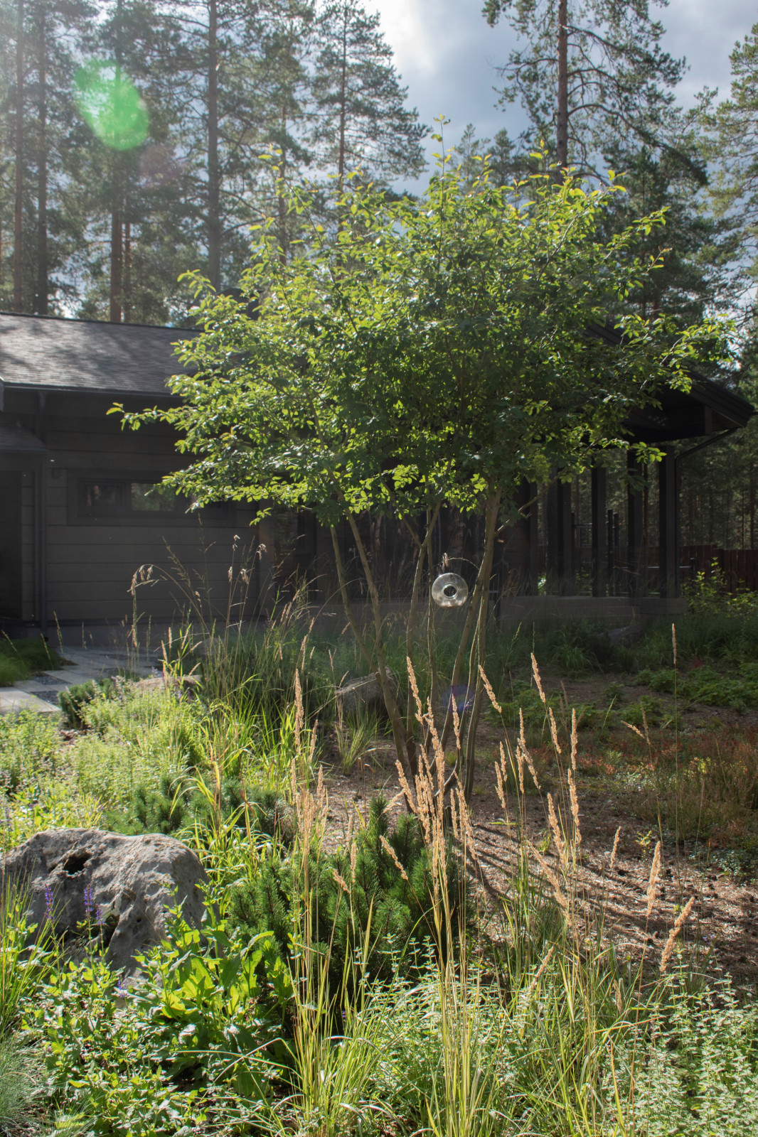 Проект "Волшебное озеро"