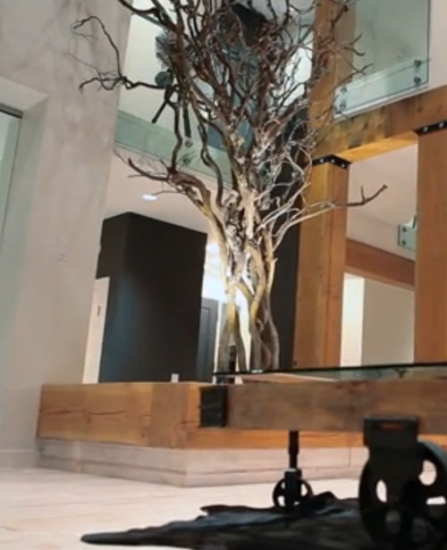 Does Anyone Know Where I Can Source An Indoor Tree Like This