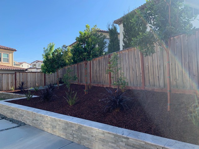 Planting & Hardscapes