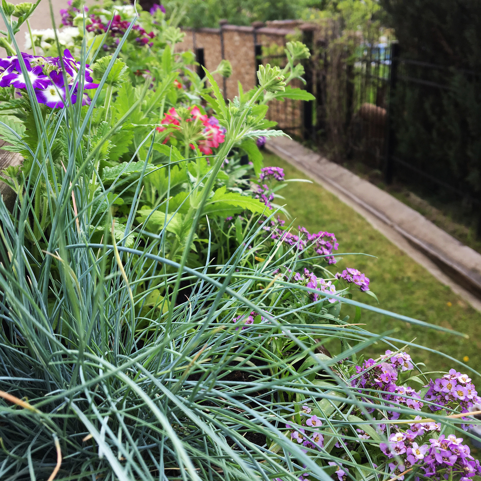 Терраса в Новых Вешках