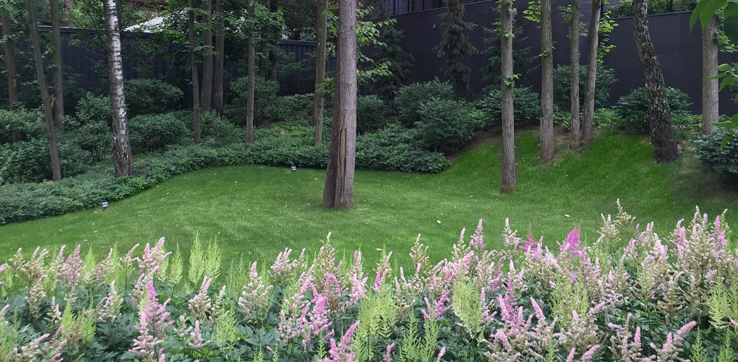 Сад пять уровней комфорта