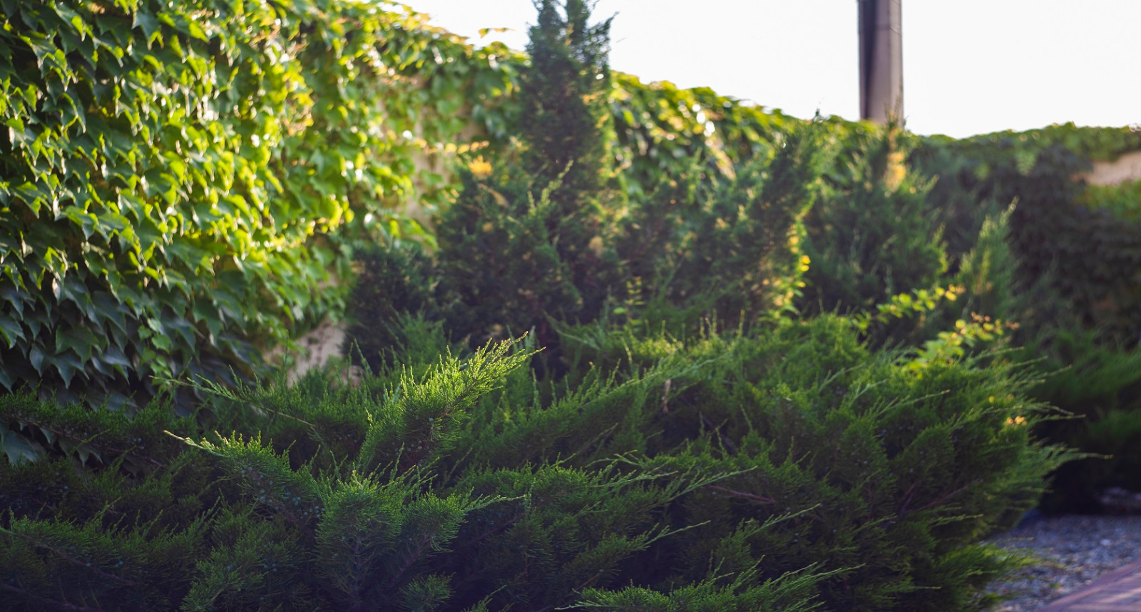 Ландшафтный дизайн в Новороссийске