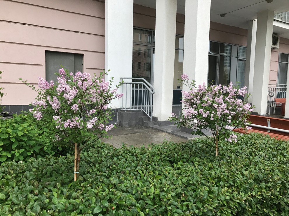 Оформление входа в подъезд многоквартирного дома на Ходынке ЖК "Гранд парк"Сад