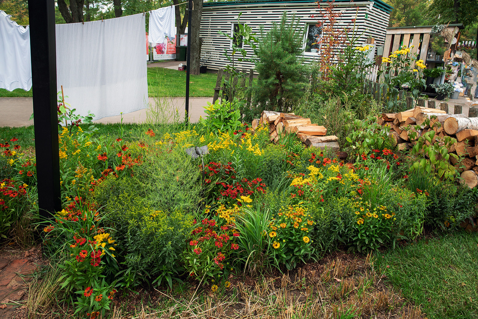 Фотосъемка  "САДЫ и  ЛЮДИ2019"   -  Сад Наследие . ГРАН-ПРИ