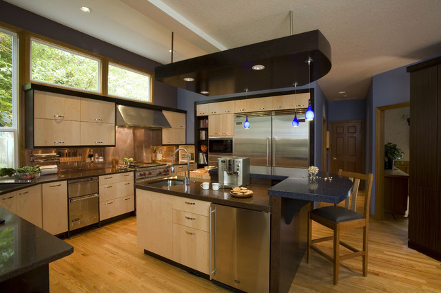 Contemporary Kitchen contemporary-kitchen