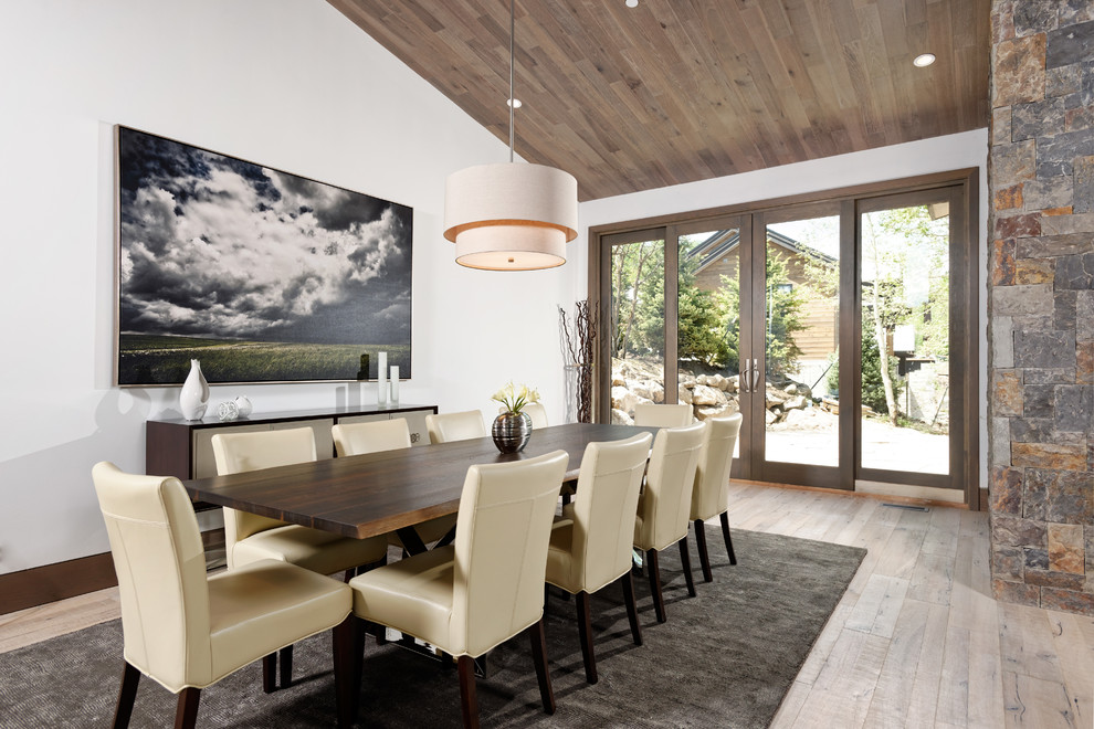 Inspiration for a large contemporary dining room in Other with white walls, light hardwood floors, a standard fireplace and a stone fireplace surround.