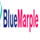 bluemarplewebdesign