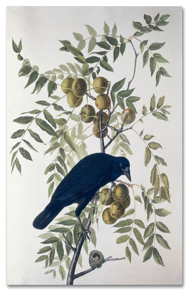 John James Audubon Carolina Parrot Giclee Canvas Print Paintings Poster Reproduc