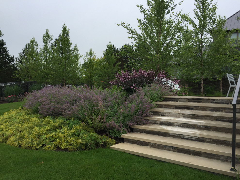 Steps to Lawn