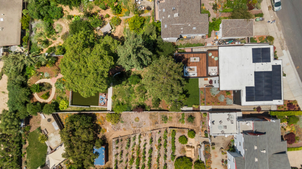 Oakland Hillside