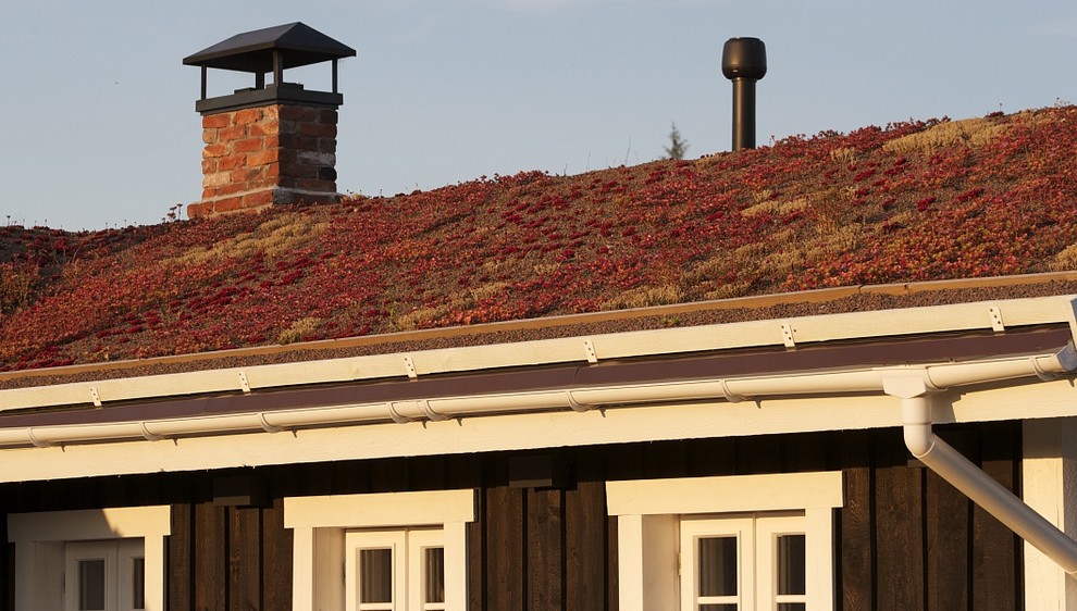 Чёрный дом с зелёной крышей