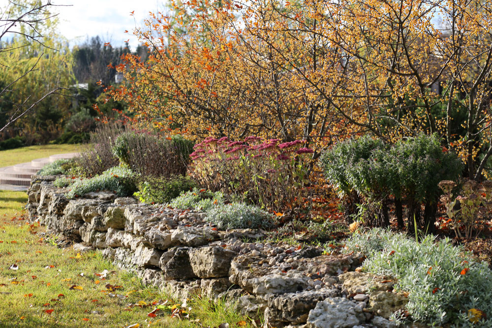 В центре круга