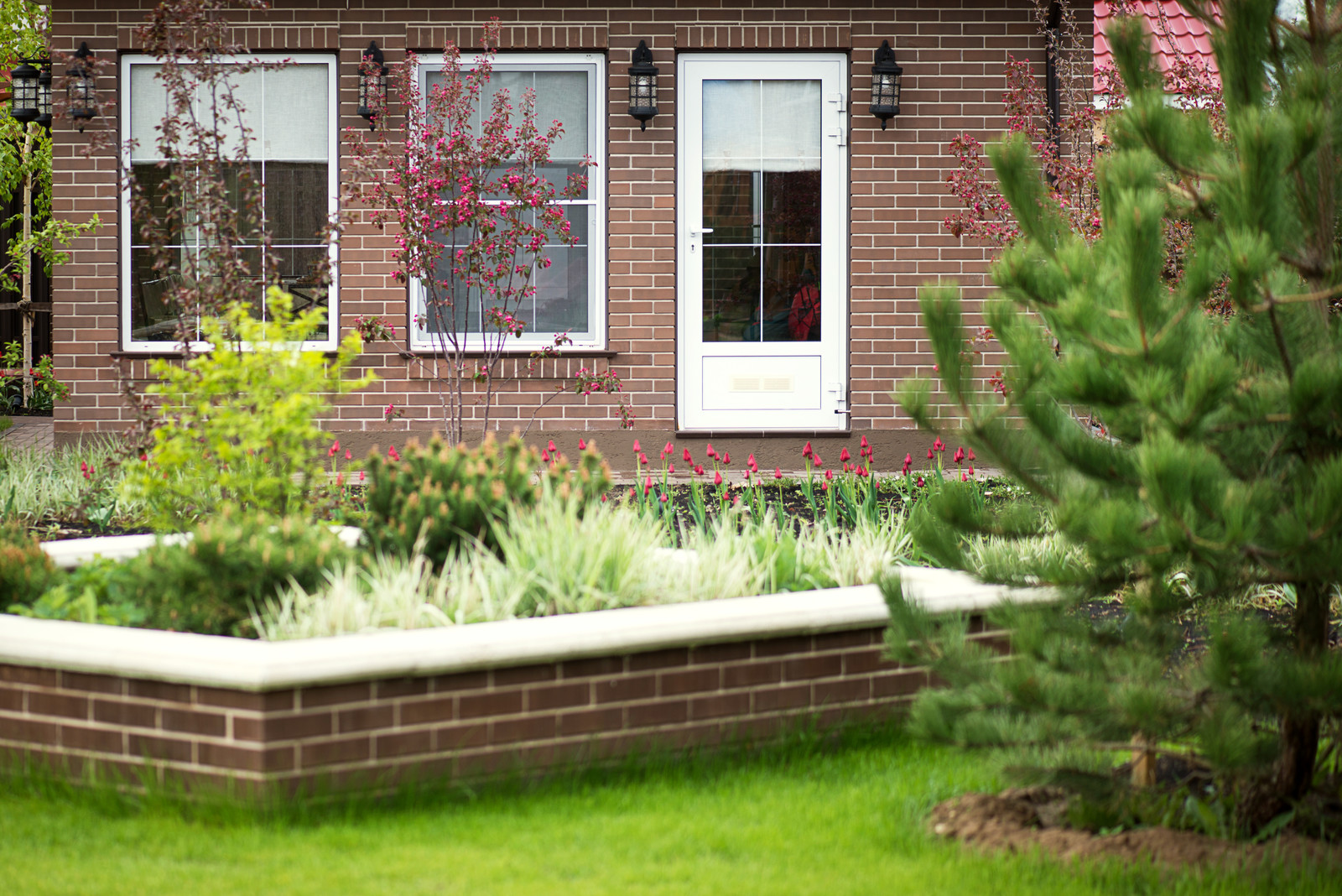 Первая весна в саду "Красный октябрь"