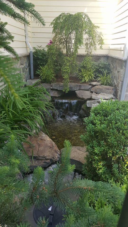 Photo of a small traditional backyard garden in New York with brick pavers and with waterfall.