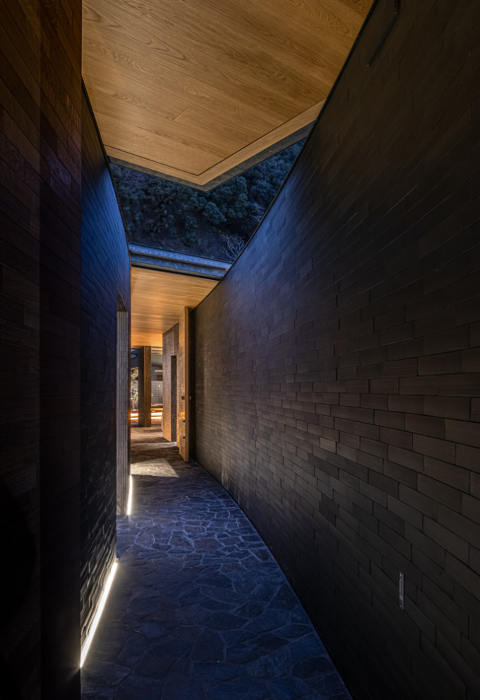 Пример оригинального дизайна: коридор в стиле модернизм с черными стенами, полом из керамогранита и черным полом