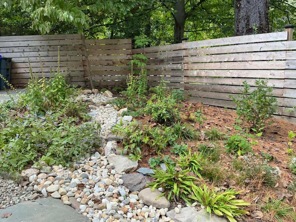 Conservation and rain gardens landscape