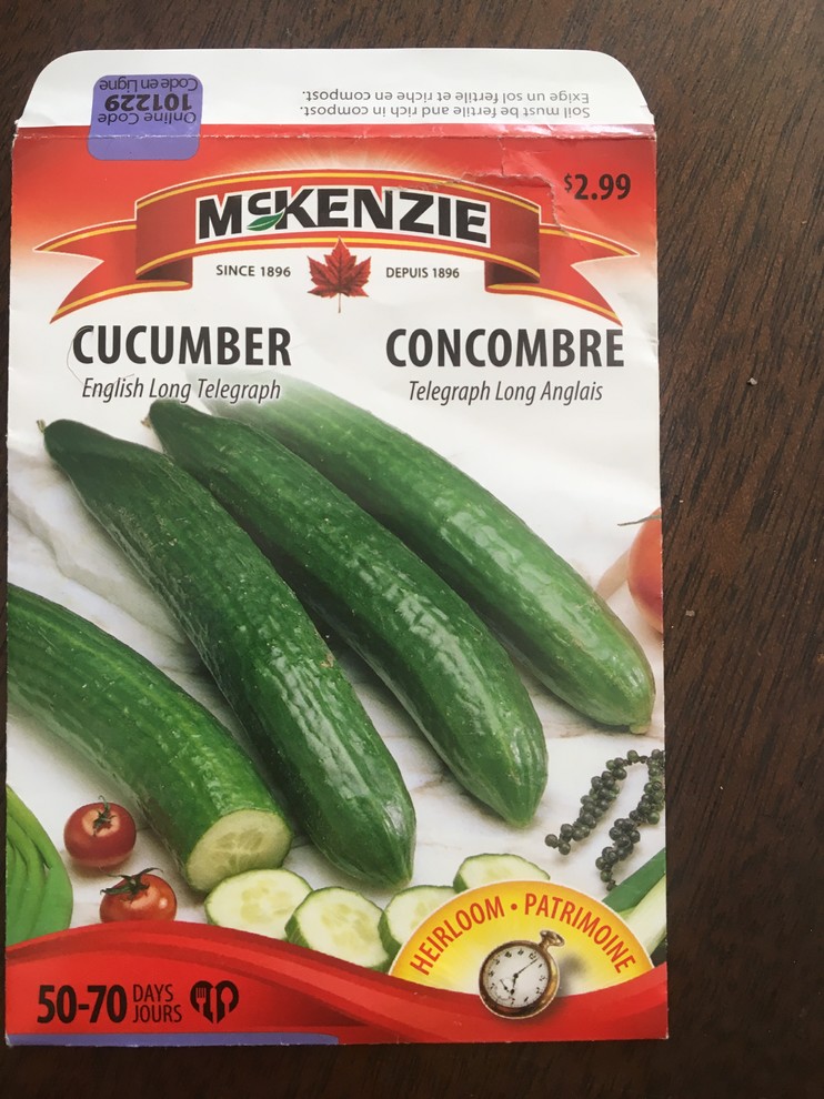 English Cucumber - Telegraph Improved - 20 Seeds